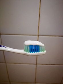福建佳期對粉臻白亮齒牙膏使用效果的評價 臻白亮齒，笑容自信的秘密武器