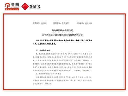 青島雙星代償1000萬助力子公司轉(zhuǎn)型，星聯(lián)科技聚焦技術(shù)服務(wù)與技術(shù)轉(zhuǎn)讓新賽道
